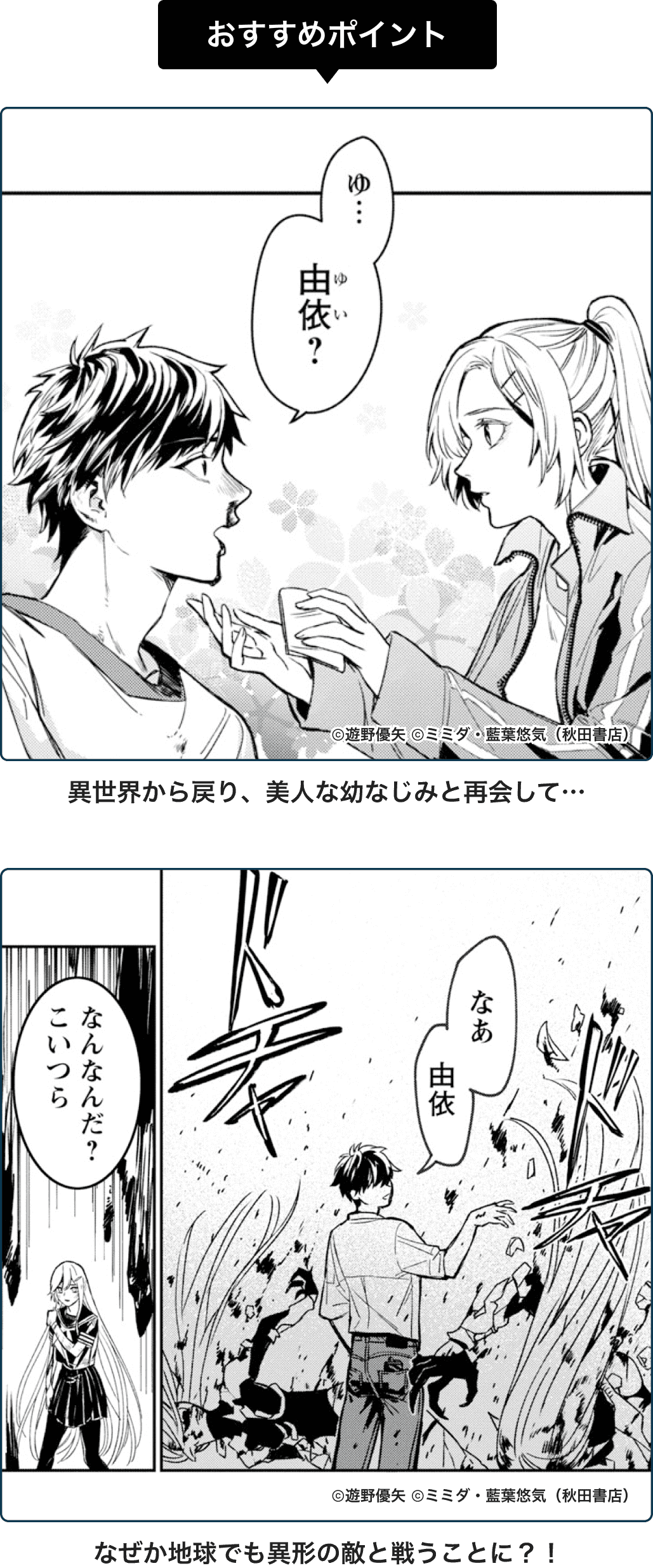 おすすめポイント