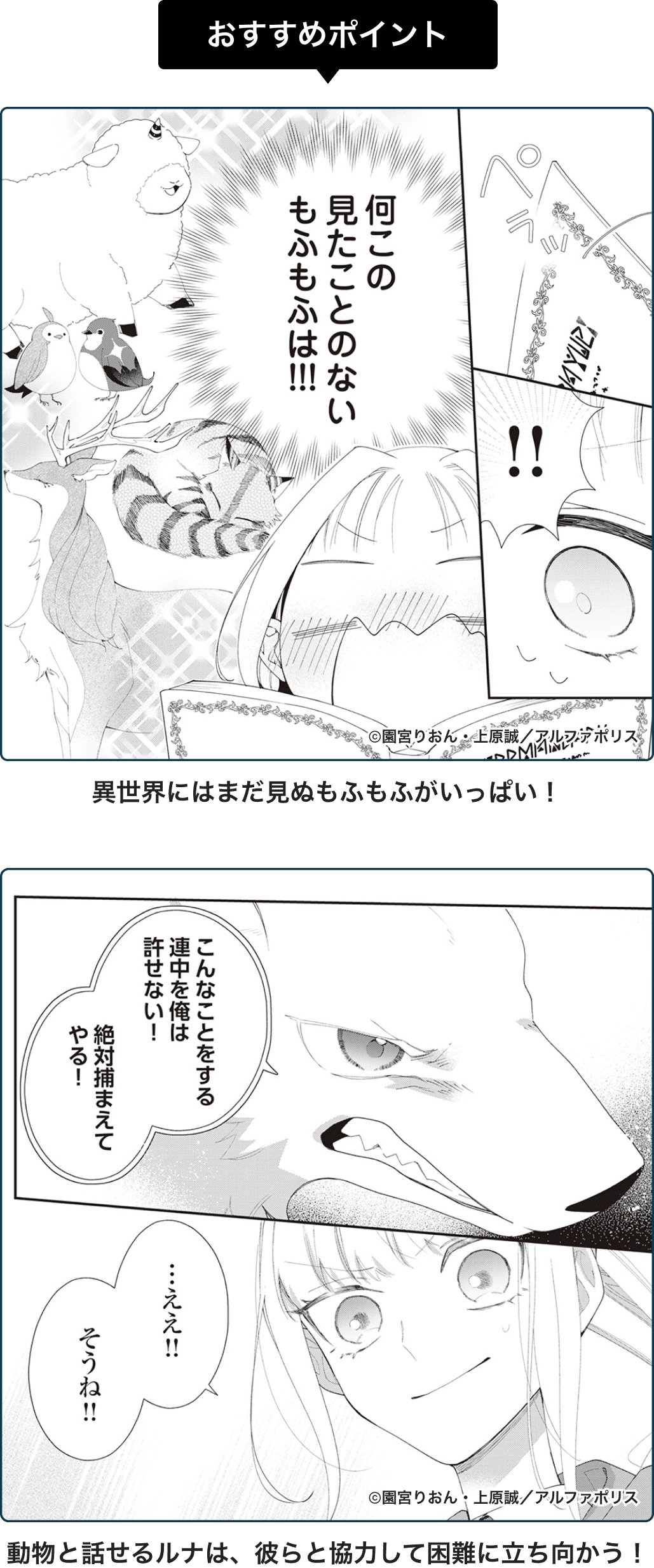 おすすめポイント
